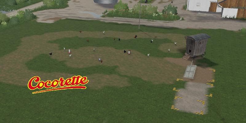 NO FENCES CHICKEN COCORETTE 2