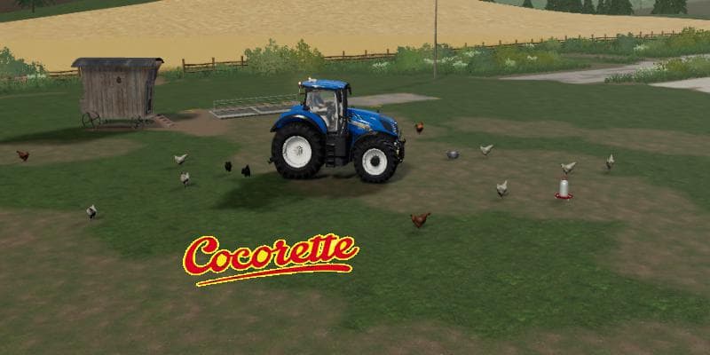 NO FENCES CHICKEN COCORETTE