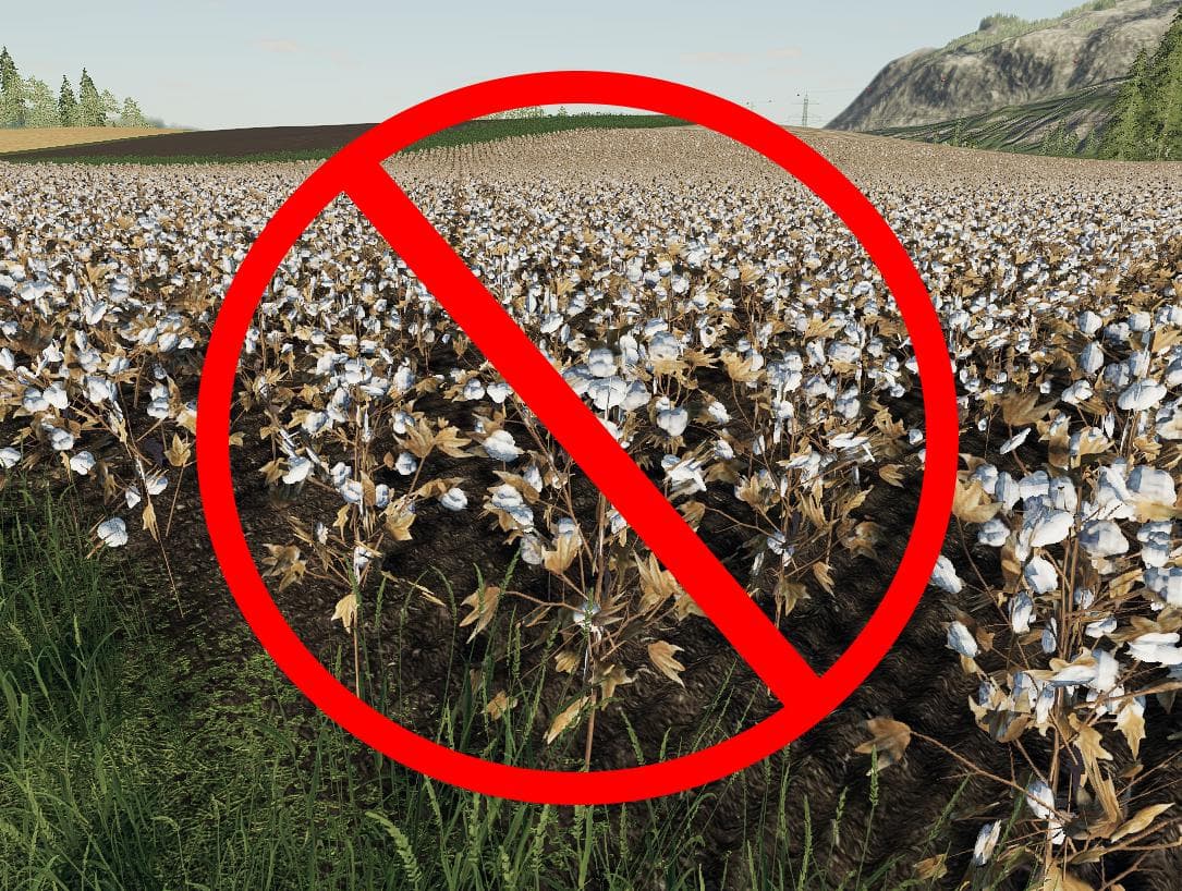 NO MORE COTTON