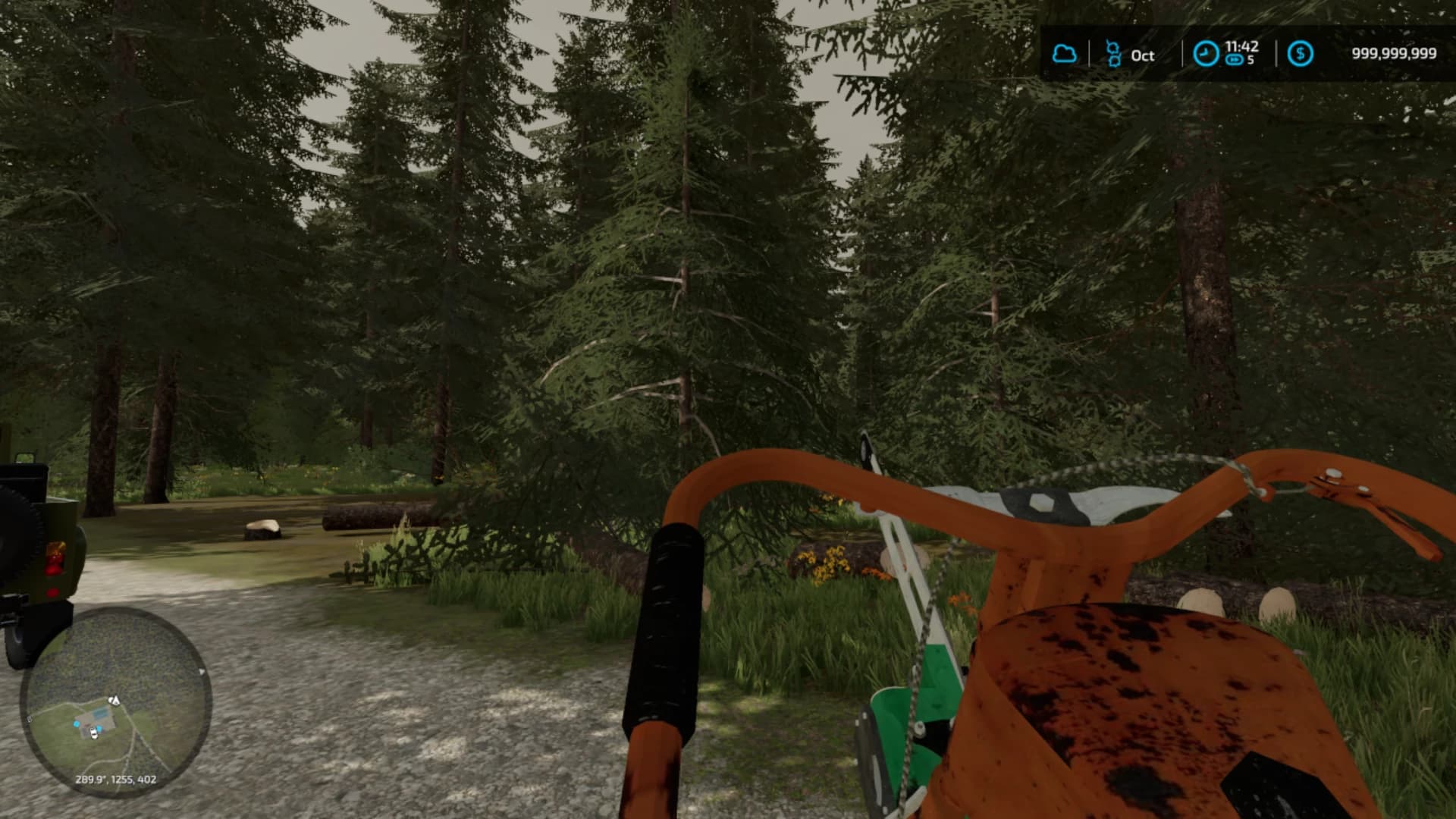 OLD CHAINSAW