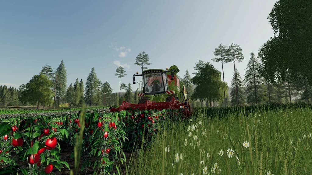 OLD KIWI FARM 4