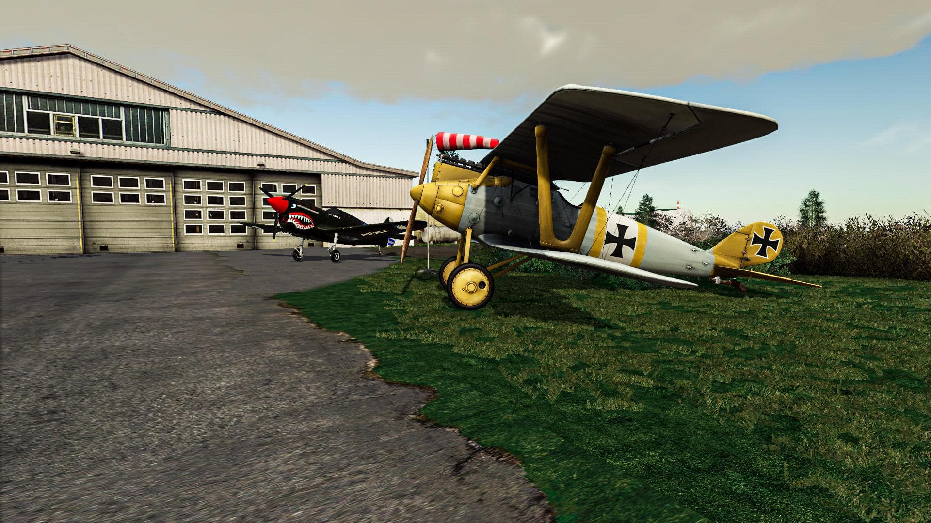 OLD PLANES COLLECTION 4