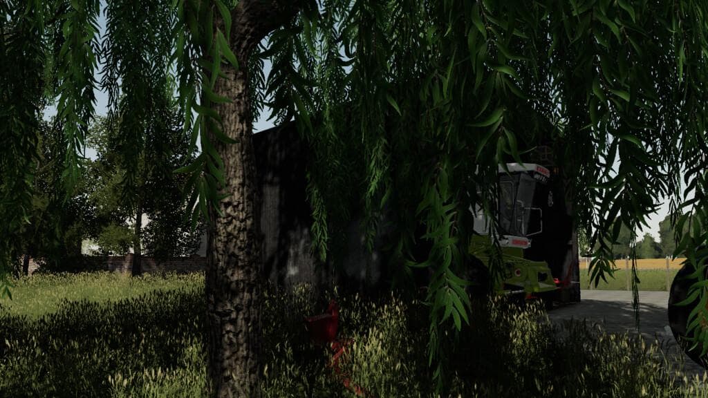 OLD SHED SMALL 2