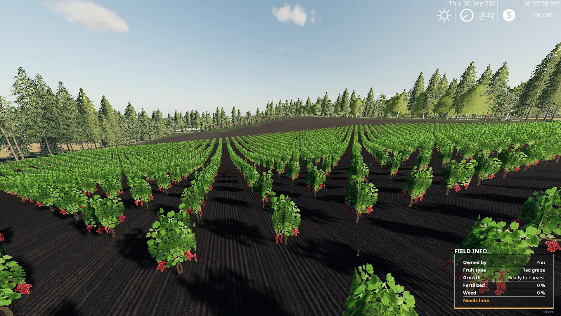 OLD TIMERS FARM PRODUCTION
