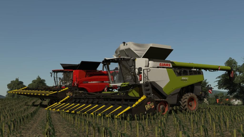 OLIMAC DRAGO GT 2