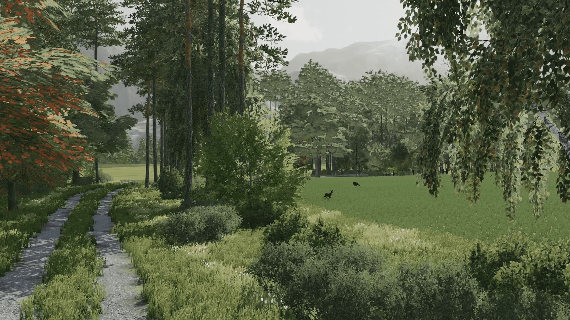 GOLISZEW 4
