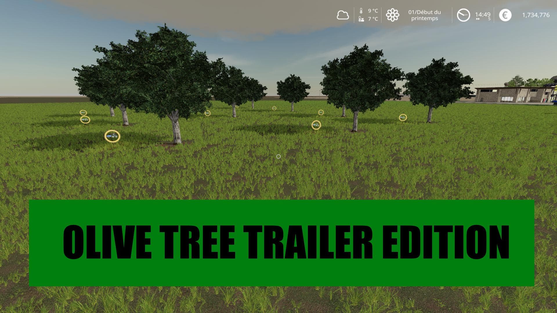 OLIVE TREE TRAILER EDITION 3