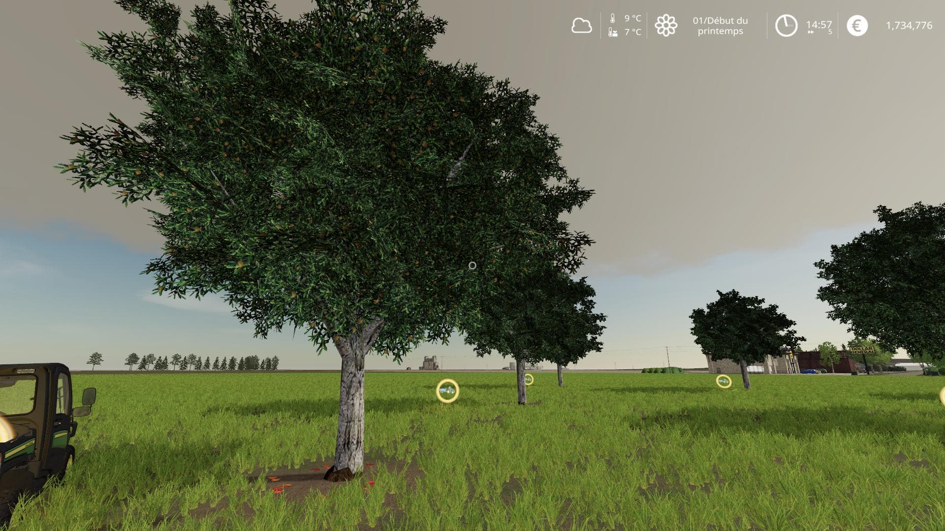 OLIVE TREE TRAILER EDITION 2