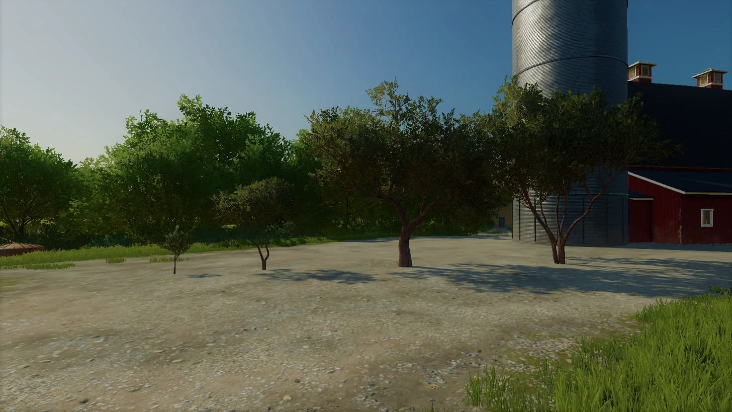OLIVE TREES PACK