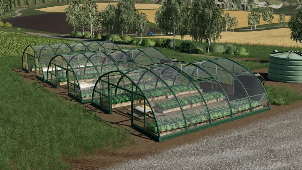 ONION GREENHOUSES 3
