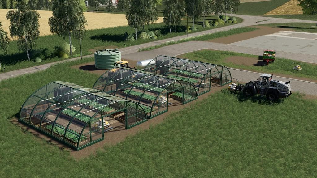 ONION GREENHOUSES 2
