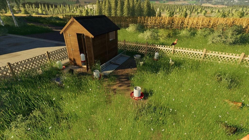 OPEN CHICKEN COOP 3