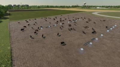OPEN COW PASTURE