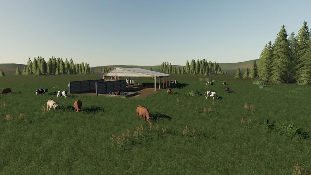OPEN COW PASTURE 3