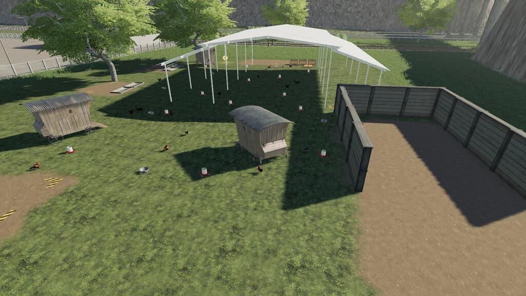 OPEN HEN HOUSE 3