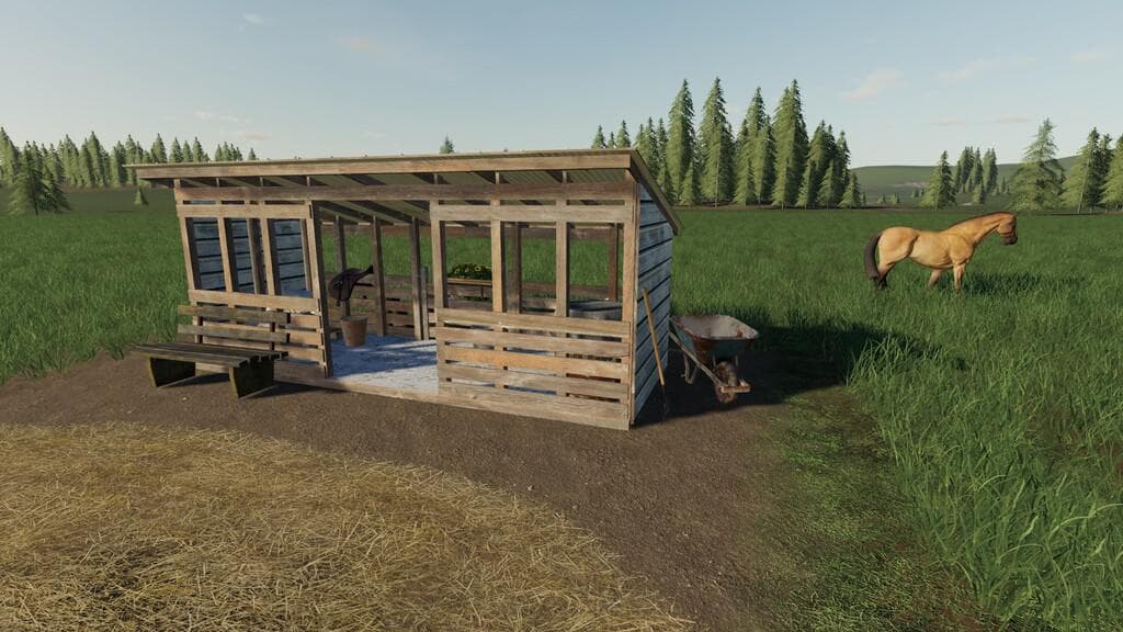 OPEN HORSE PASTURE 4