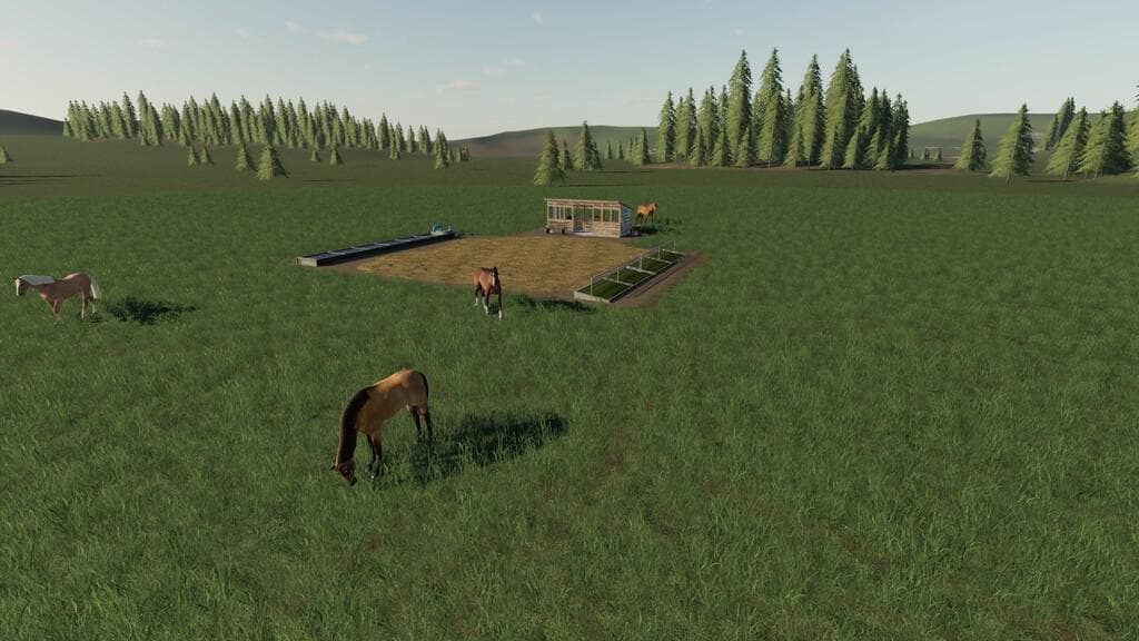 OPEN HORSE PASTURE 2
