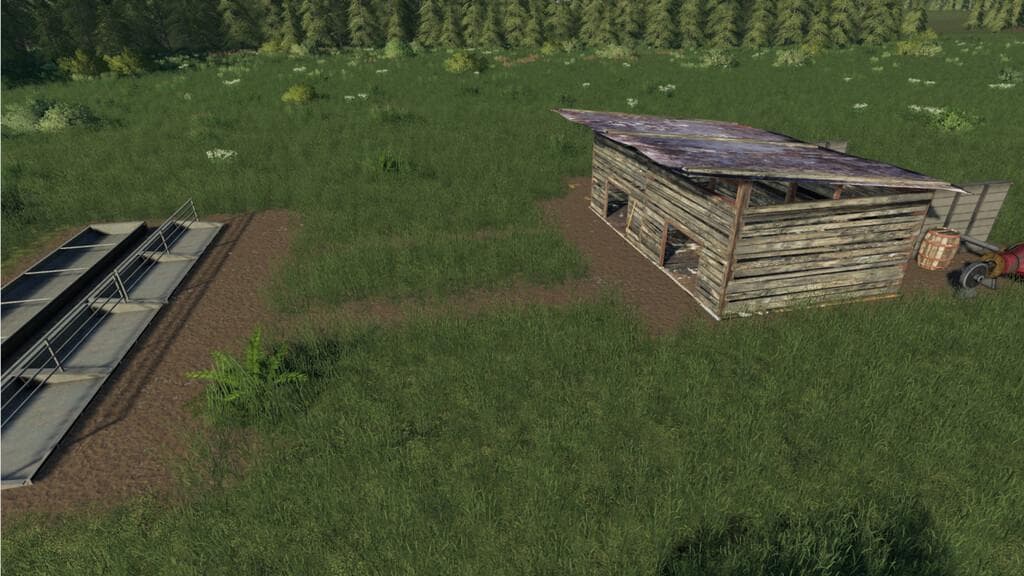 OPEN PIG PASTURE 3