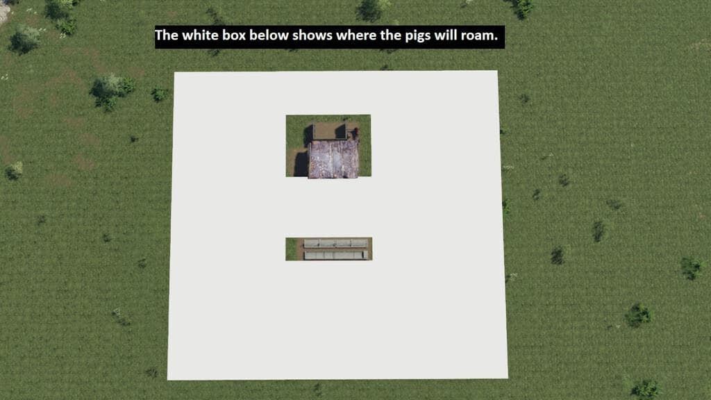 OPEN PIG PASTURE