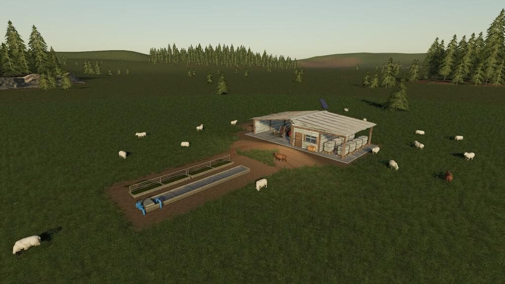 OPEN SHEEP PASTURE 3