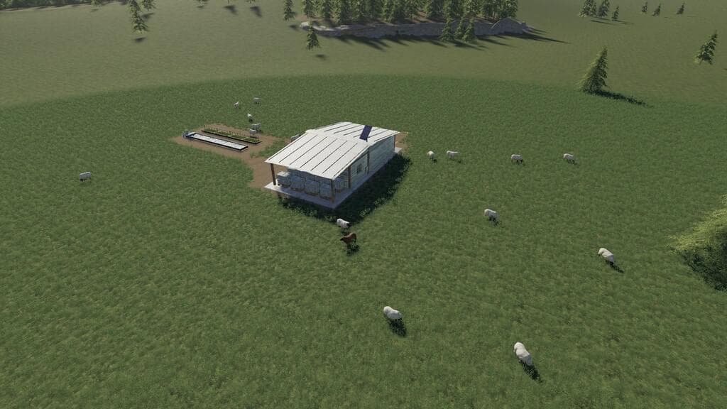 OPEN SHEEP PASTURE 2