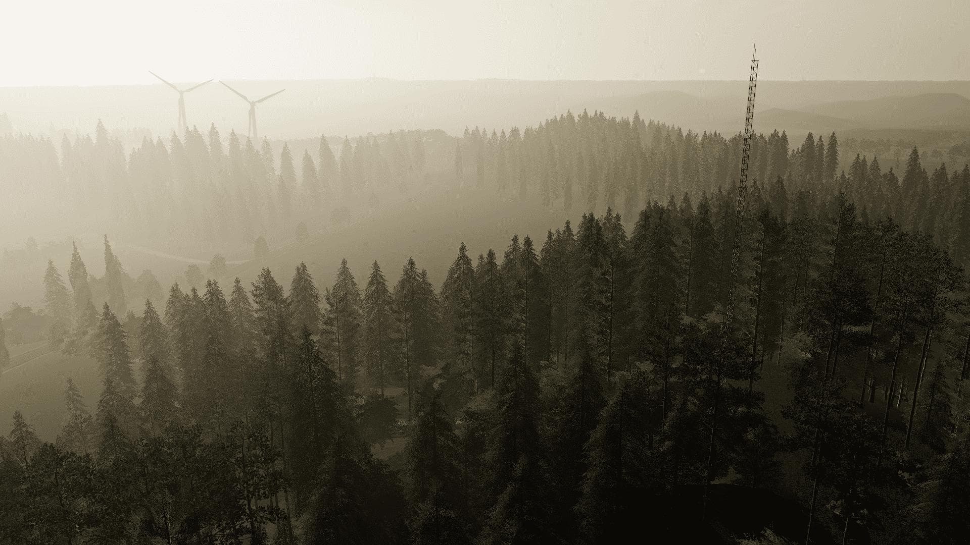 OSIEK 3
