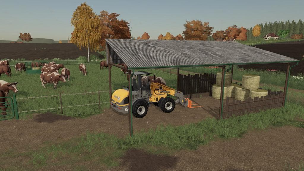 OUTDOOR COW PASTURE 4