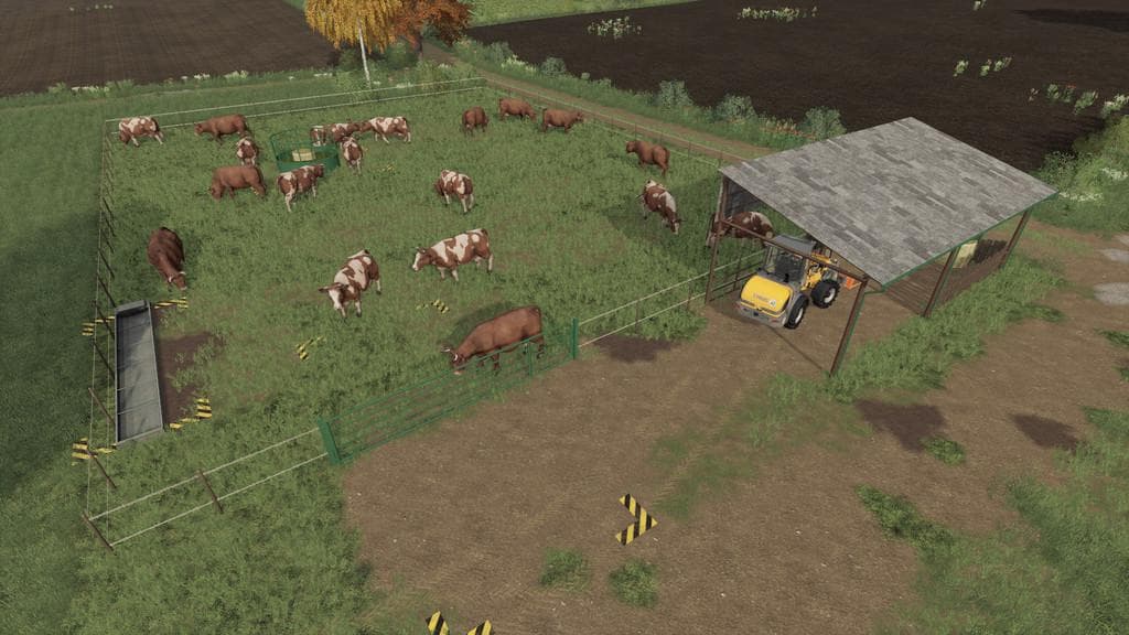 OUTDOOR COW PASTURE 3