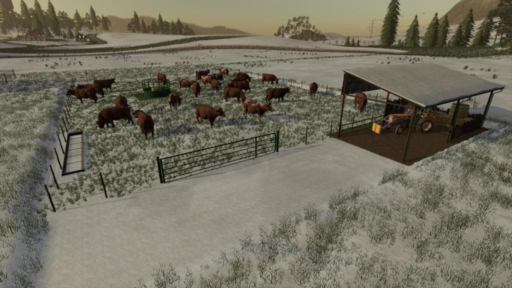 OUTDOOR COW PASTURE 2