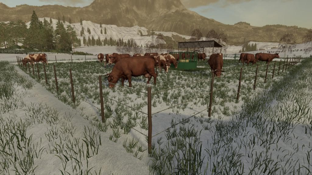 OUTDOOR COW PASTURE