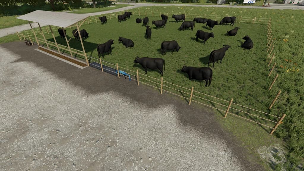 OUTDOOR PASTURES 3