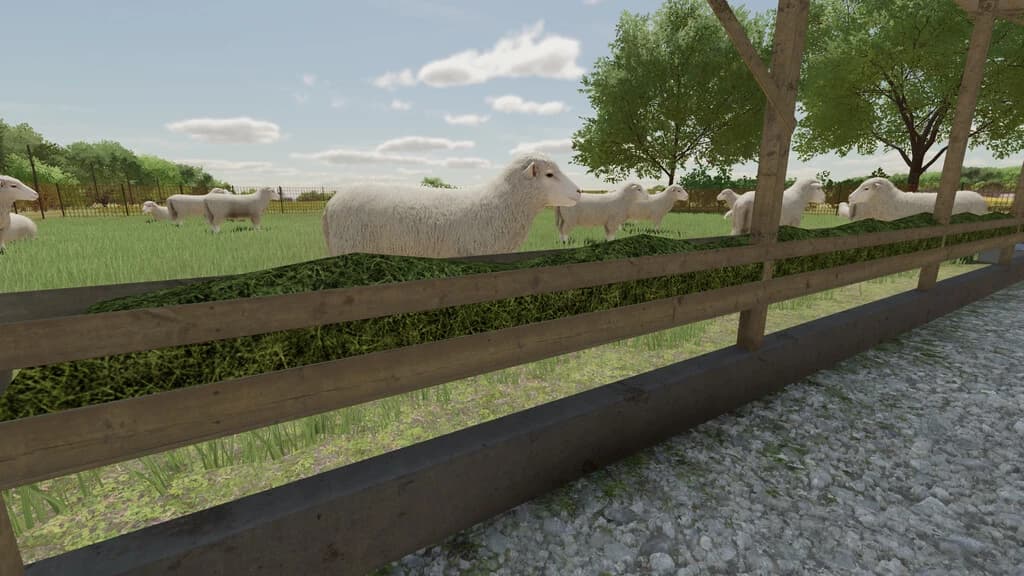 OUTDOOR PASTURES 2