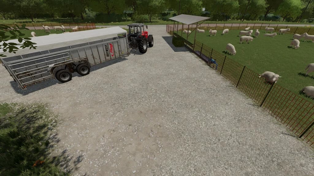OUTDOOR PASTURES