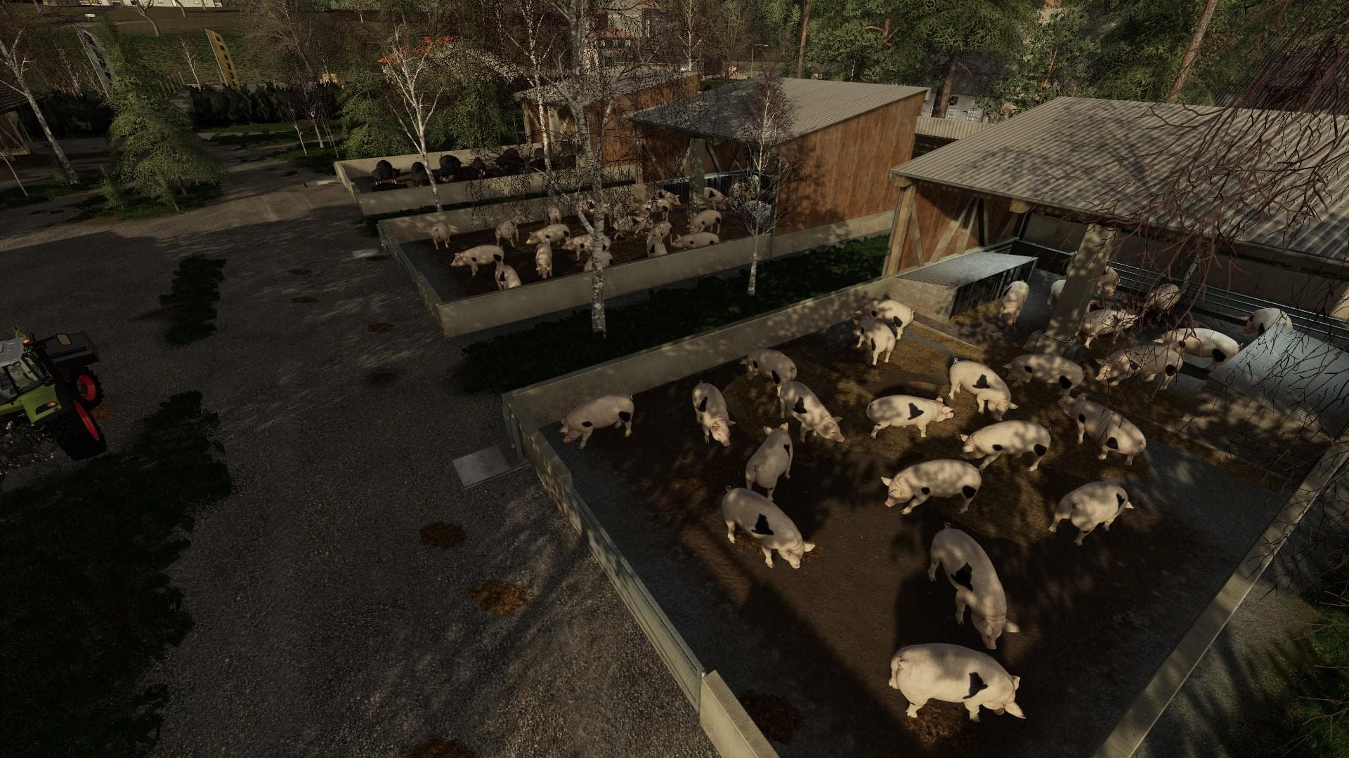 OUTDOOR PIGLET HUSBANDRY 5