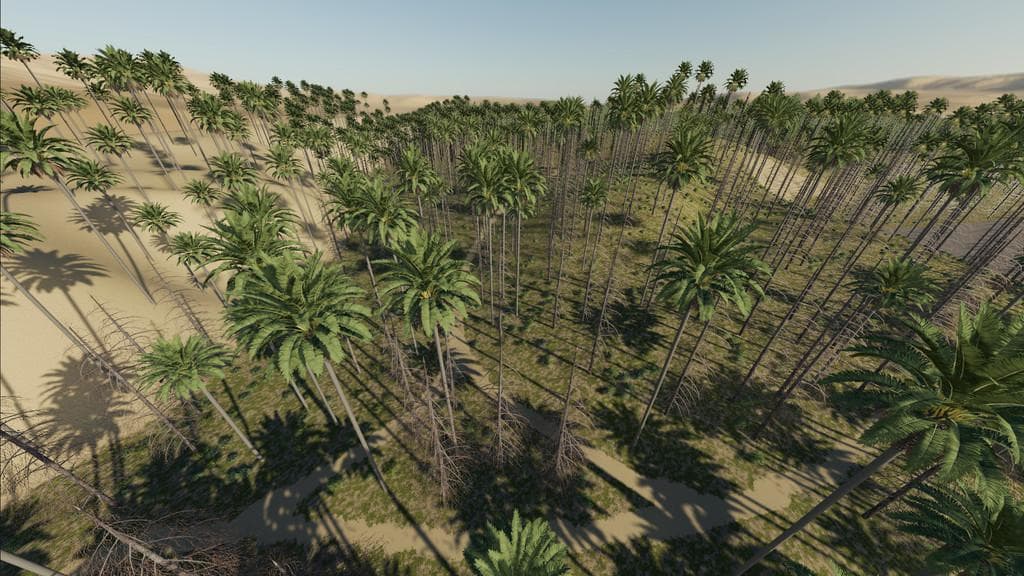 Oasis Springs 2