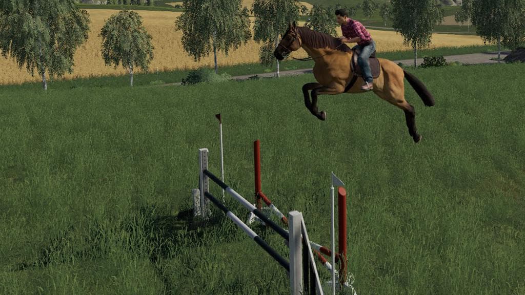 Obstacles Horse sport 4
