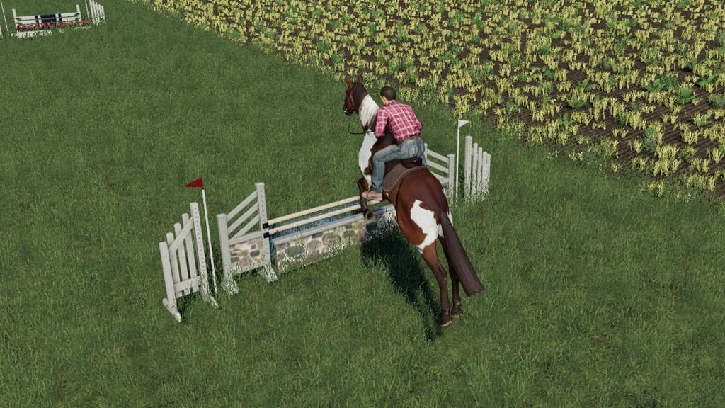 Obstacles Horse sport 3