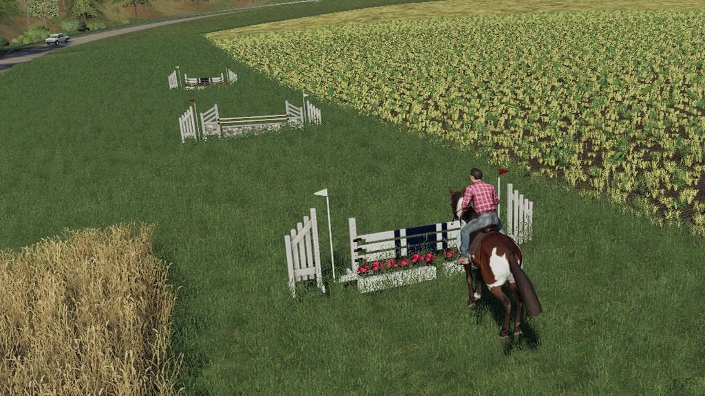 Obstacles Horse sport 2