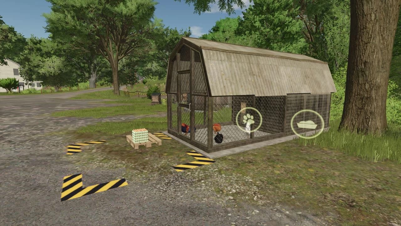 Old Chicken Coop 3