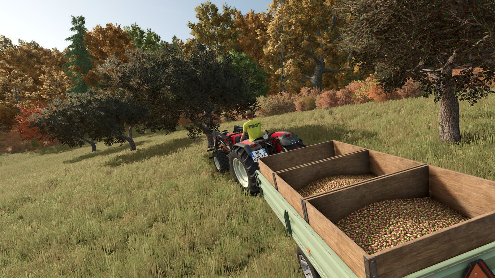 Olive Harvest Trailer 2