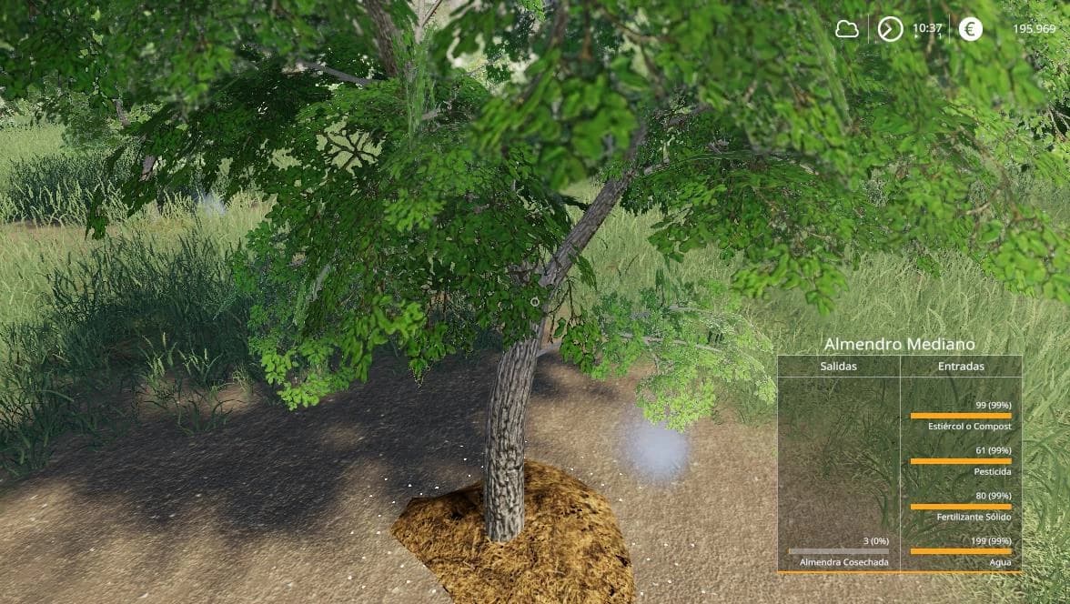 PACK ALMOND TREE 2