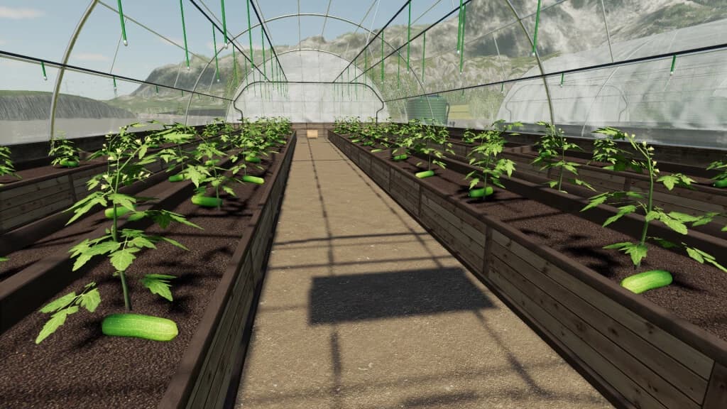 PACK GREENHOUSES 3