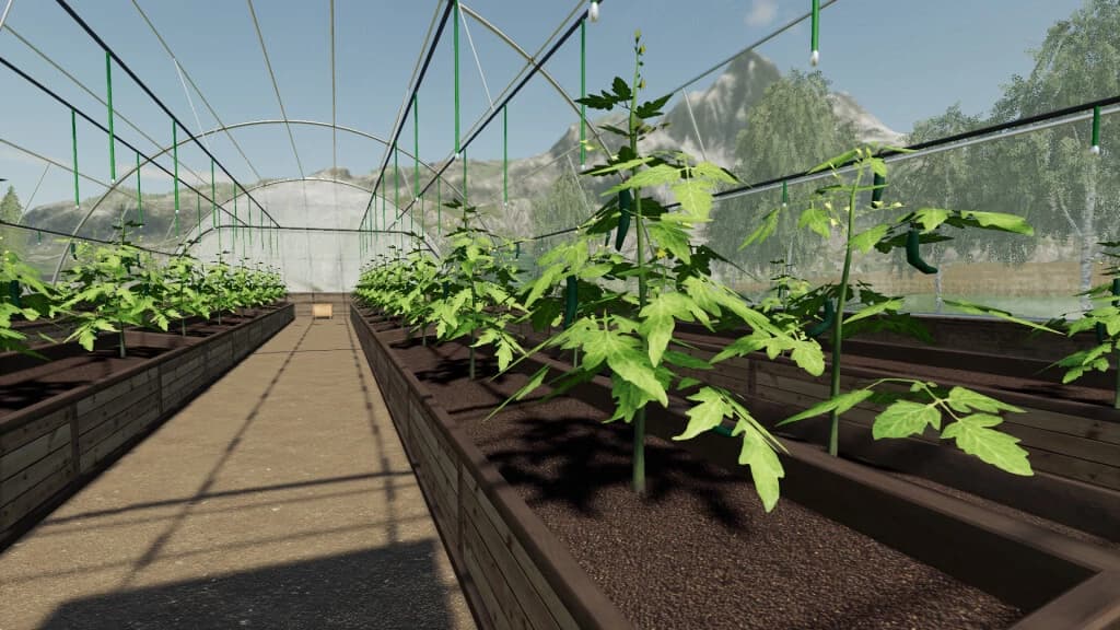 PACK GREENHOUSES