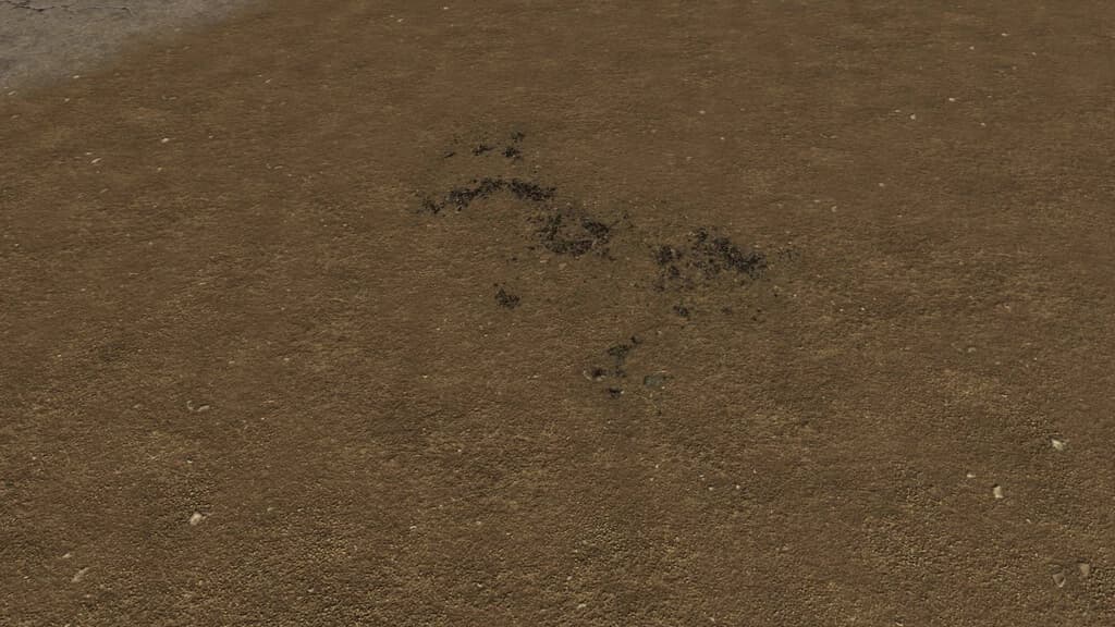 PACK OF TRACES 2