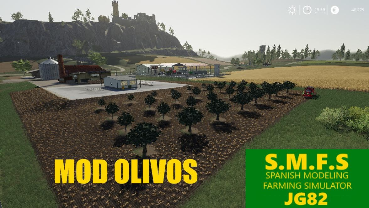 PACK OLIVE TREE 5