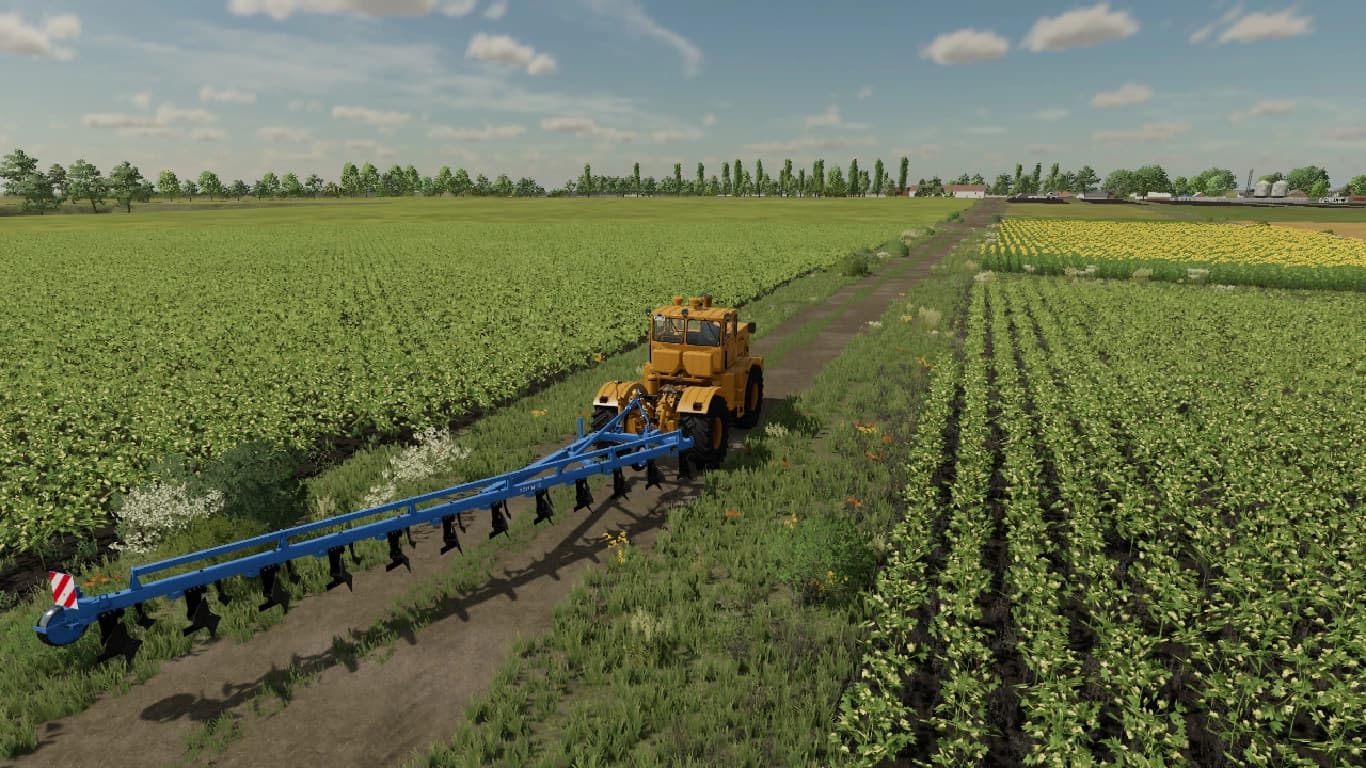 PACK PLN PLOWS 2