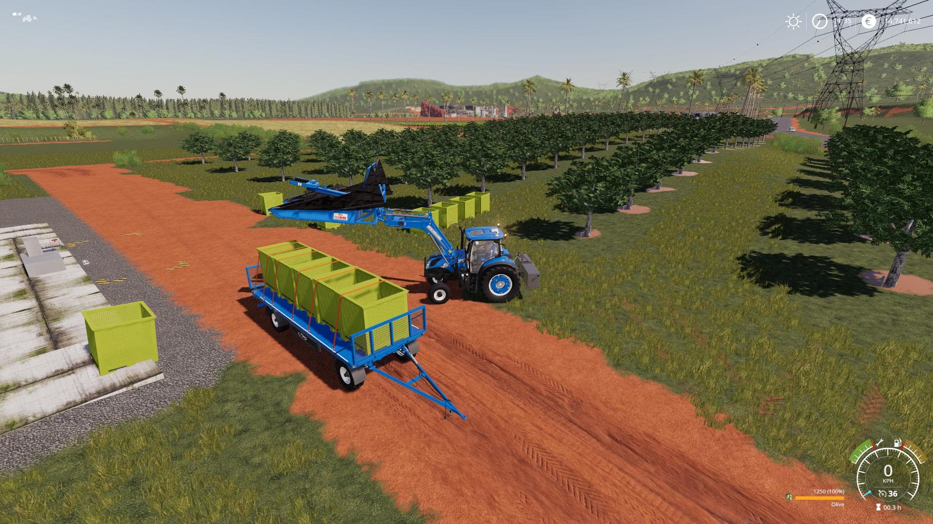 PALLET BOX FOR OLIVES
