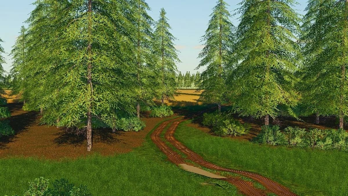 PARUCHOW MAP 5