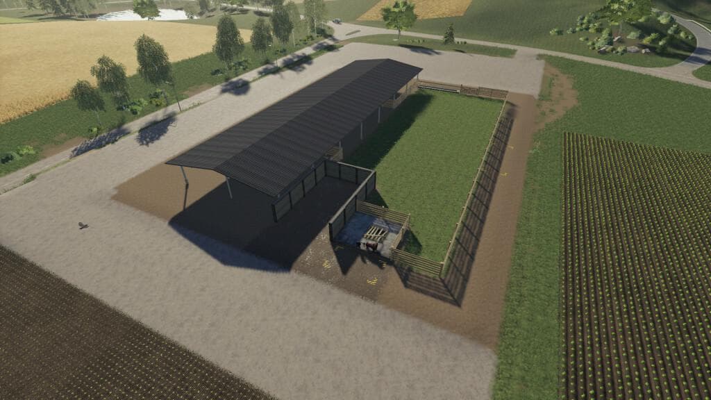 PASTURE FOR COWS 2