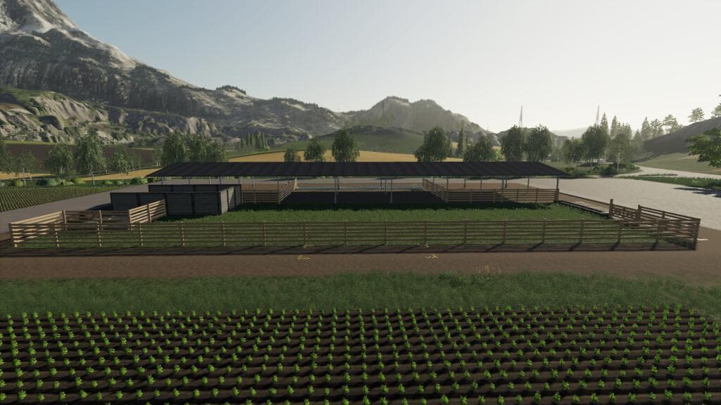 PASTURE FOR COWS